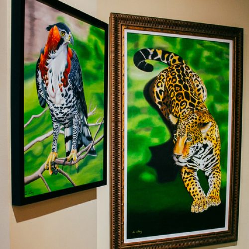 Exposição Olhar Extinto